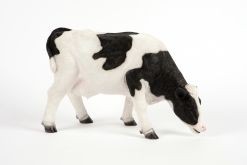 Mooie Grazende zwart witte koe tuinbeeld kopen