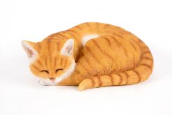 Mooie slapende  rood kat kopen