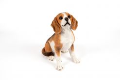 Mooie Zittende beagle tuinbeeld kopen