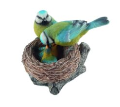 Mooie Pimpelmezen op nest kopen