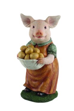 Varken verzamelt aardappelen Mooie Varken verzamelt aardappelen kopen