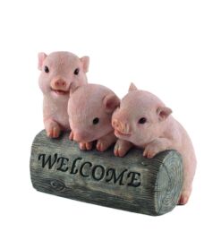 Welkom varkens Mooie Welkom varkens kopen
