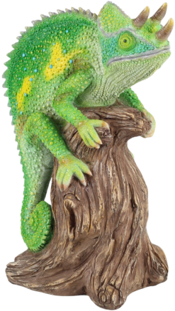 Mooie Charlie de Kameleon kopen