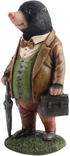 Mooie Michael de Mol kopen