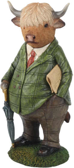 Mooie Hamish de Schotse Hooglander kopen