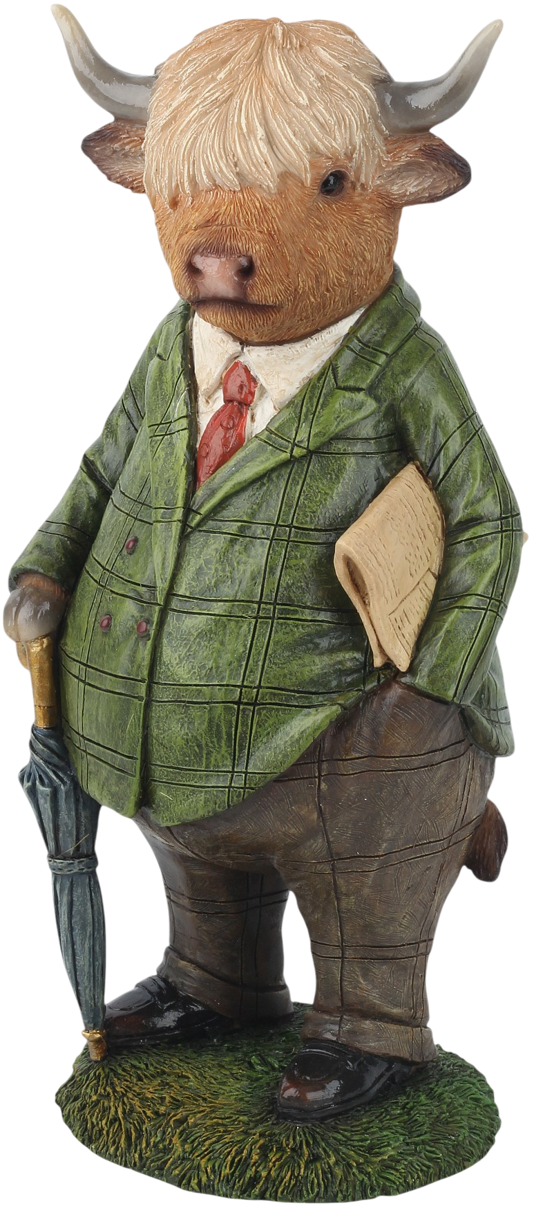 Hamish de Schotse Hooglander Mooie Hamish de Schotse Hooglander kopen